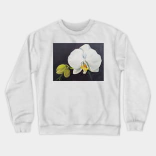 Phaelenopsis - moth orchid painting Crewneck Sweatshirt